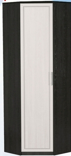 Шкаф для одежды угловой ДЛЯ ГОСТИНОЙ ШОУ-695 Венге/Дуб выбеленный в Тюмени - tyumen.katalogmebeli.com | фото